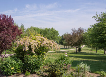 Tips for Your Tree and Bush Trimming and Pruning Image